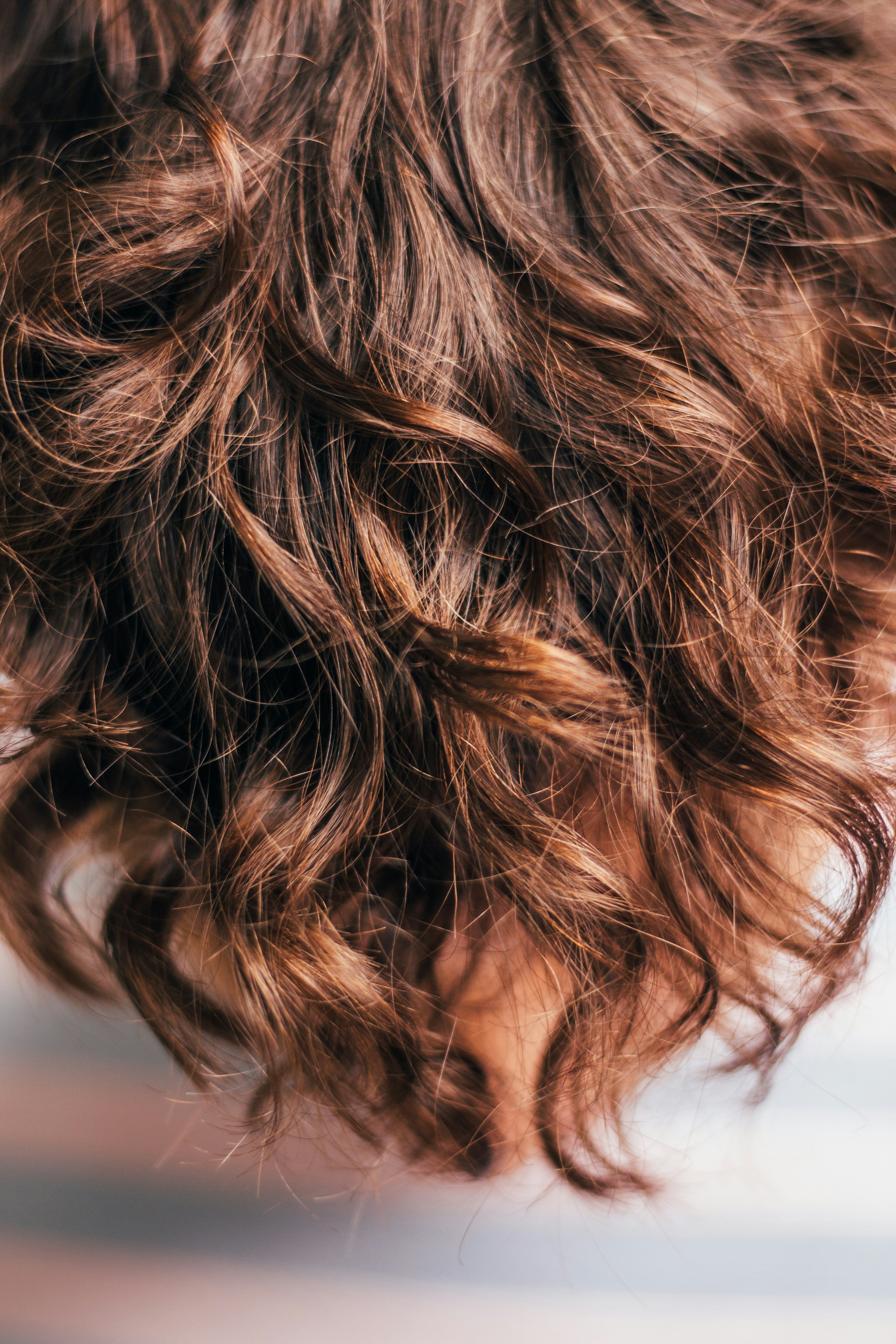 Close-up of wavy brown hair