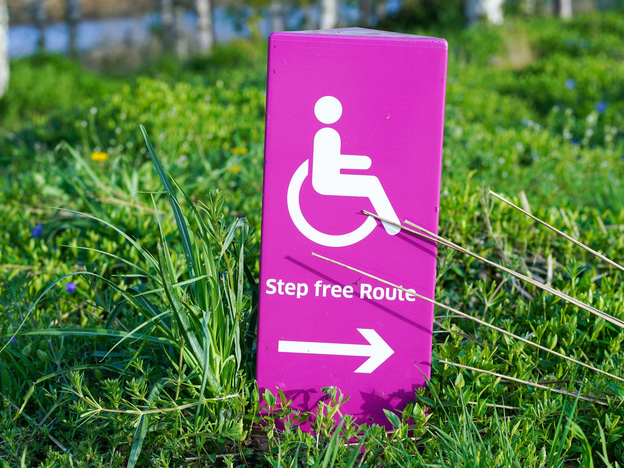 Pink sign with wheelchair icon and 'Step free route' text in grass